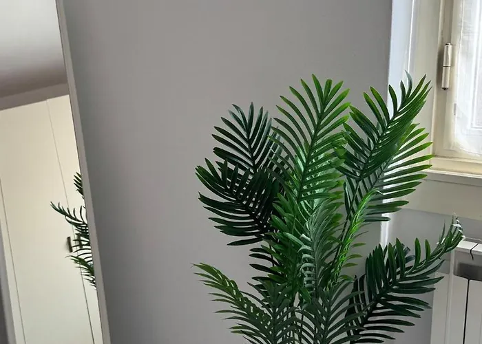 Casa Grace, A Due Passi Dal Apartment *